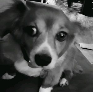 Meet your Posher, Katrina